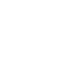 image of stackoverflow icon